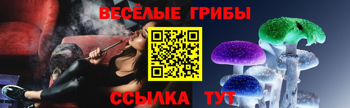 Псилоцибиновые грибы прущие грибы Гудермес