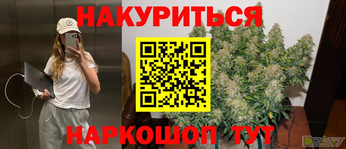 Бошки Шишки MAZAR Гудермес